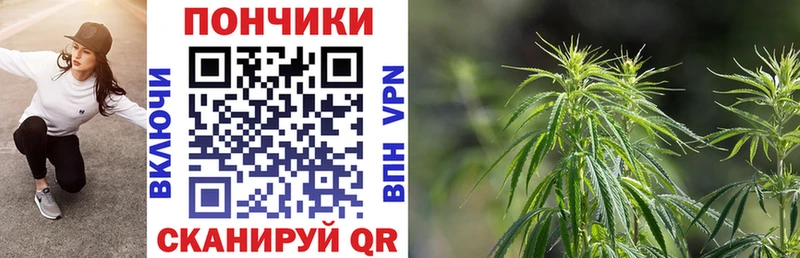 Марихуана конопля  где купить наркоту  Дубовка 